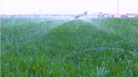 初夏小麦农田科技灌溉空镜实拍