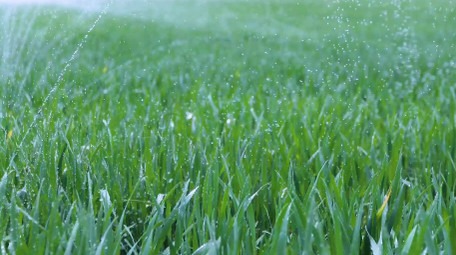 初夏小麦农田科技灌溉空镜实拍
