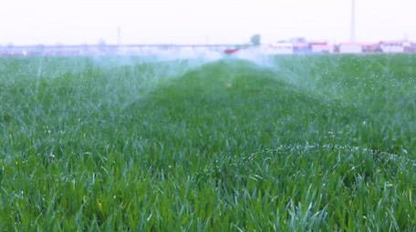 初夏小麦农田科技灌溉空镜实拍