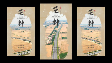 实拍结合文案芒种片头竖版短视频