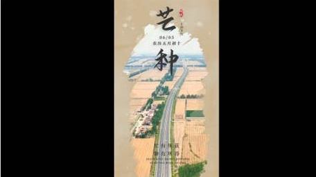 实拍结合文案芒种片头竖版短视频