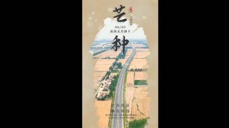 实拍结合文案芒种片头竖版短视频