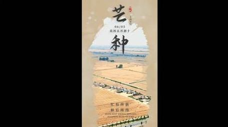 实拍结合文案芒种片头竖版短视频