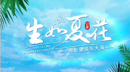 清新夏天字幕花字AE模板