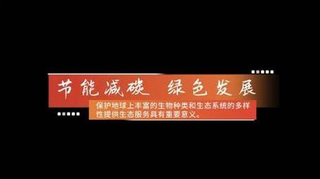 创意图形党政字幕条动画展示字幕花字