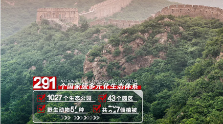 简洁宣传片数据字幕条