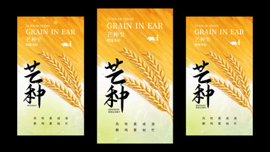 简洁芒种光影竖版视频模板