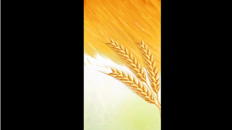 简洁芒种光影竖版视频模板