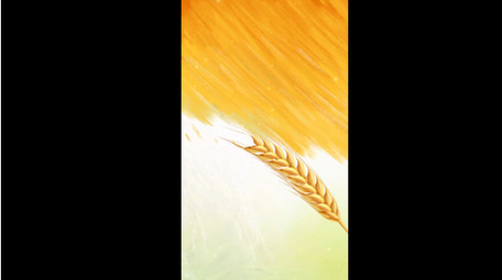 简洁芒种光影竖版视频模板