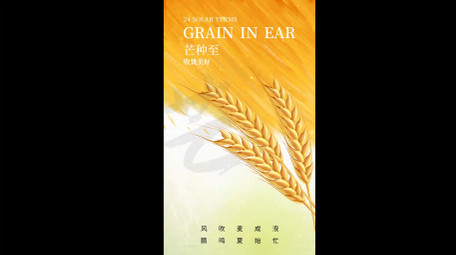 简洁芒种光影竖版视频模板