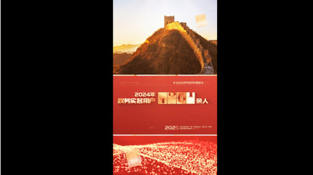 简洁图文数据竖版视频模板