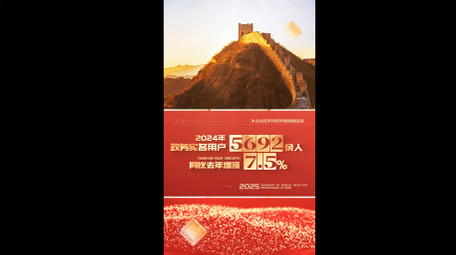 简洁图文数据竖版视频模板