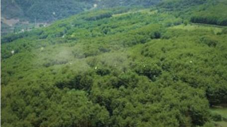 清新旅游字幕动画展示字幕花字