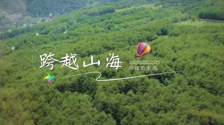 清新旅游字幕动画展示字幕花字