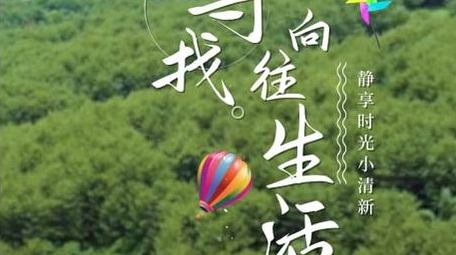 清新旅游字幕动画展示字幕花字