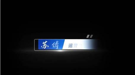 商务人名字幕条动画展示字幕花字