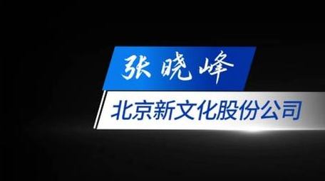 商务人名字幕条动画展示字幕花字