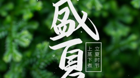 唯美初夏氛围水面标题片头ae模板