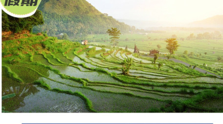 时尚户外活动创意图文快闪ae模板