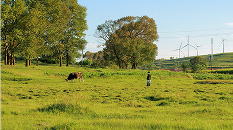 草原绿色草地亲子家庭旅游游玩田园放牧实拍