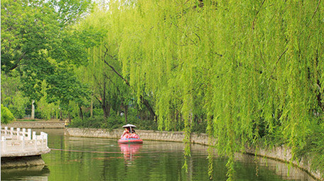 亲子乘坐游船小船泛舟湖上湖面杨柳实拍