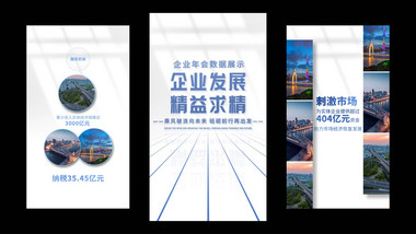 简洁<strong>商务</strong>企业工作汇报竖版<strong>图文</strong>AE模板