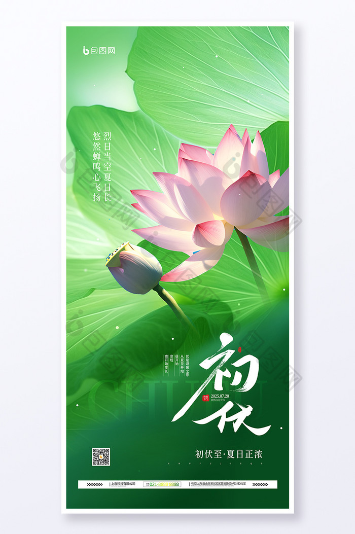 夏季三伏天初伏节气荷花荷叶图片图片