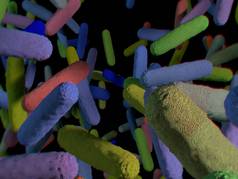 肠道细菌微生物组