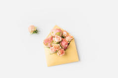 信封里的粉玫瑰