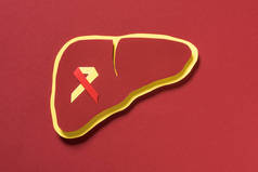 红色背景带状肝的顶部视图, 世界肝炎日概念
