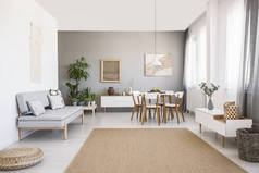 灰色沙发附近的白色椅子在明亮的客厅内部与棕色地毯的餐桌。真实照片