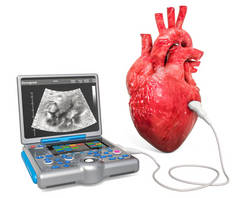 心脏超声概念。人的心脏与医学超声