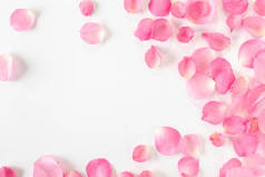 粉红玫瑰花瓣在白色背景上的顶部视图。情人节的概念.