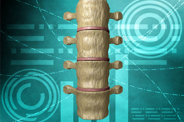人体脊柱上以科学为主题，3d 渲染背景的后视图
