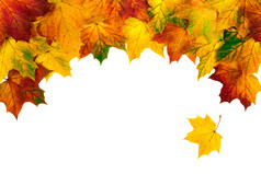 秋天的叶子建筑形弓的边框