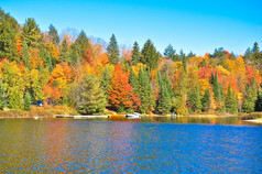 秋天的树林，倒映在平静的湖面