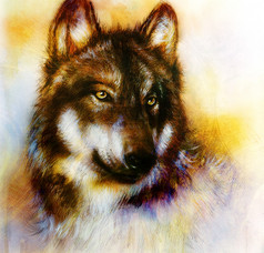 狼绘画，色彩背景纸、 彩色插图.