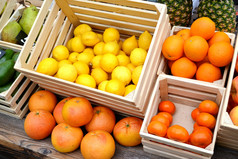 柑橘类水果从柑橘、 金橘、 橙子和柠檬在当地农场市场一套