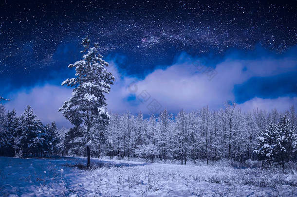 美丽的冬天的夜晚的星空雪木