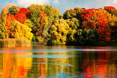 美丽的秋天公园与五颜六色的叶子、树和湖。秋季景观公园在秋季。Octobe 森林