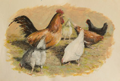 母鸡和鸡吃在农场围场油画