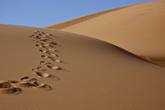 在沙漠中的脚印