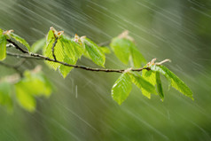 下雨天