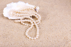 美丽的珍珠壳的沙子，关闭