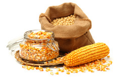 玉米和玉米种子