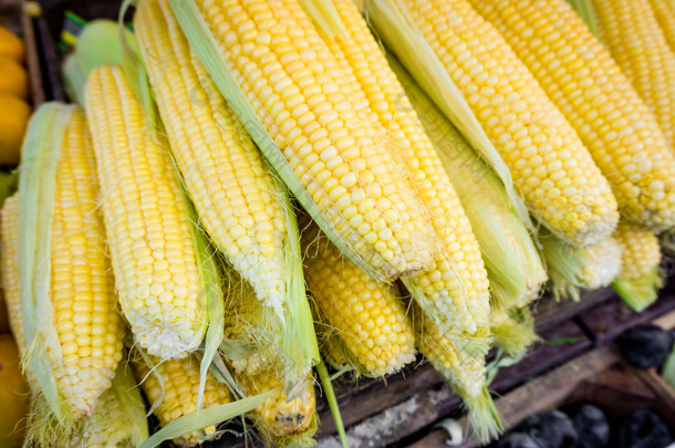 新鲜的玉米。农民市场发售的玉米