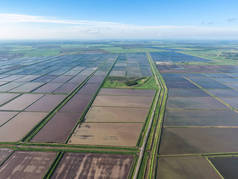 淹水的稻田。在 f 种植水稻的农艺方法