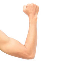 男人手臂强与白色背景上的肌肉
