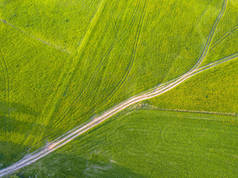 无人机照片的道路之间的田野在五颜六色的早春在乡村村-周围的蒲公英。自上而下视图