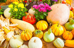 季节性农户市场商品陈列。在农业博览会上为秋季节日装饰品五颜六色的南瓜。收获概念